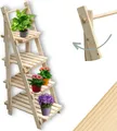 Produktbild: holz4home® Pflanzleiter mit 4 Ablagen I Größe: 52,5 x 109 x 35 cm I Blumentreppe aus Tannenholz hell I Blumenregal