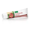 Produktbild: Teufelskralle-Balsam mit Arnika ➤ Durchblutungsfördernd | 150 ml Tube 66€/L