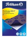 Produktbild: PELICAN A4 BLAUES KARPFENPAPIER 10 BLÄTTER