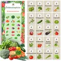 Produktbild: TORAF Gemüsesamen Set 20 Ausgesuchte Sorten – Premium Saatgut für Garten, Balkon, Hochbeet - Leicht anzubauen - Ideal für Anfänger und Gartenliebhaber - für Frische Ernte zu Hause - Geschenkset