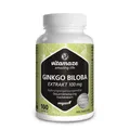 Produktbild: Ginkgo Biloba 100 mg vegan 100 St