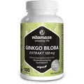 Produktbild: Ginkgo Biloba 100 mg hochdosiert vegan Kapseln 100 St