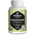 Produktbild: Vitamaze Ginkgo Biloba 100mg Extrakt (50:1) hochdosiert