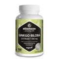 Produktbild: GINKGO BILOBA 100 mg hochdosiert vegan Kapseln 100 St