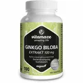 Produktbild: GINKGO BILOBA 100 mg hochdosiert vegan Kapseln 100 St PZN16018605