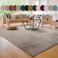 Produktbild: Teppich PACO HOME 