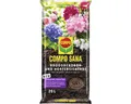 Produktbild: Rhododendron- und Hortensienerde COMPO SANA® auch für Azaleen, Eriken und Kameli