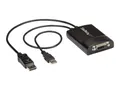 Produktbild: StarTech.com DisplayPort to DVI Adapter - Dual-Link - Active DVI-D Adapter for Your Monitor / Display - USB Powered - 2560x1600 (DP2DVID2)