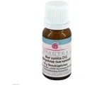 Produktbild: NUX Vomica D 12 Globuli 10 g