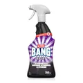 Produktbild: Cillit Bang Expert Schwarzer/Weißer Schimmel und Hygiene, 1 x 750 ml