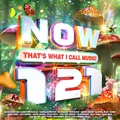Produktbild: Various Artists NOW That's What I Call Music! 121 (CD) Album (US IMPORT)