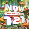 Produktbild: Various Artists - Now Thats What I Call Music! 121 - 2CD - E600z