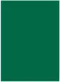 Produktbild: Folia - Color-Bastelkarton, 220g/ mÂ², 50x70cm, 10 Bogen, Tannengrün