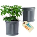 Produktbild: 2x Pflanz Kübel Halbrund direkt an der Wand Außen Blumen Kasten Outdoor 50 Grau