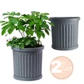 Produktbild: 2er Set Pflanz Kübel Halbrund Wand Außen Blumen Kasten Outdoor 50 Grau