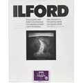 Produktbild: Ilford 1x 10 MG RC DL 44M 24x30