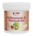 Produktbild: Rosskastanien & Weinlaub Gel 250ml Vom Pullach Hof - Allgäu