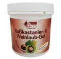 Produktbild: 3 x 250ml Roßkastanien und Weinlaub-Gel vom Pullach Hof, Roßkastanien-Balsam  