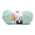 Produktbild: Lion Brand Yarn 860-178 Vanna's Choice Garn, Acryl, Sea Glass, 1 Pack, 156 Meter