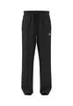 Produktbild: Herren Sweathose FIREBIRD TP XXL