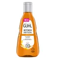 Produktbild: 250ml Guhl Intensiv Kräftigung Shampoo Bier für kraftloses feines Haar