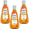 Produktbild: 3x 250ml Guhl Intensiv Kräftigung Shampoo Bier für kraftloses feines Haar stärkt