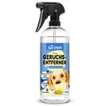 Produktbild: bio-chem Hunde Geruchsentferner 750 ml Enzymreiniger Geruchsneutralisierer