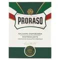 Produktbild: PRORASO Aftershave Balm Green, 100 ml