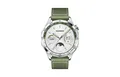 Produktbild: Huawei Watch GT4 46mm (Phoinix-B19W), green