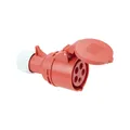 Produktbild: REV CEE-Kupplung 32 A/380 V