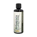 Produktbild: Waldkraft Artemisia – Einjähriger Beifuß (Sauerhonig-Basis)