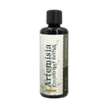 Produktbild: Waldkraft Artemisia - Einjähriger Beifuß (Sauerhonig-Basis) - 100ml