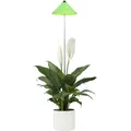 Produktbild: Parus by Venso SUNLiTE 7W led Vollspektrum Pflanzenlampe Grün, Indoor Plants Pflanzen Beleuchtung, mit ausziehbarem Teleskopstab, Parus Pflanzenlampe