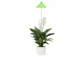 Produktbild: PARUS Pflanzenlampe Indoor plants, Leuchtmittel für Pflanzen, Teleskopstab 1m, Parus by Venso SUNLiTE 7W LED Vollspektrum Pflanzenlampe Grün, Indoor