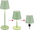 Produktbild: GLOBO 58488BG VANNIE I Tischleuchte Metall blassgrün matt, LED