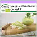 Produktbild: SAFLAX - BIO - Kohlrabi - Superschmelz - 20 Samen - Brassica oleracea