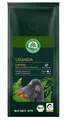 Produktbild: ARABICA/ROBUSTA UGANDA BEAN COFFEE BIO 250 g - LEBENSBAUM