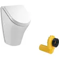 Produktbild: VBChome Urinal Zulauf von Hinten Weiß Deckel mit Absenkautomatik Soft Close Modern Hochwertig Keramik Pinkelbecken Pissoir Wandurinal Wandpissoir ...