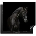 Produktbild: MuchoWow Herd-Abdeckplatte Pferd - Tiere - Schwarz - Porträt, Vinyl, (1 tlg), Cerankochfeld Abdeckung, Herd Abdeckplatten Vinyl, 58x51 cm bunt 58.3 cm x 51.3 cm x 0.2 cm