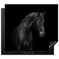 Produktbild: MuchoWow Herdabdeckplatte Ceranfeld Spritzschutz Küche Pferd - Tiere - Schwarz - Porträt 58.3x51.3 cm Induktionsherd Abdeckung Induktionskochfeld Ceranfeldabdeckung