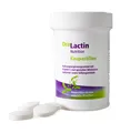 Produktbild: ApaCare OraLactin Kaupastillen  orales Probiotikum Milchsäurebakterien Vitamin C