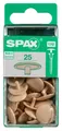 Produktbild: Spax Abdeckkappen beige zum stecken (stift) - 25 Stk.