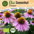 Produktbild: Sonnenhut Samen (BIO) - 125 Samen Blumensamen Sonnenhutsamen Purpur