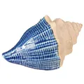 Produktbild: Floristik24 Maritime Keramik Muschel Blau Beige Dekoration 2er Set, 2 Stück