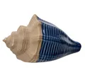 Produktbild: Decoris season decorations Dekoobjekt, Muschel Deko Maritim 15x8cm Porzellan Blau / Beige