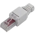 Produktbild: Rj45-stecker, Cat 6 Tru Components 1515263 Rj45-stecker, Gerade Grau 1 Stk. S935821