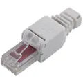 Produktbild: TRU COMPONENTS  RJ45 Stecker, Cat 6 Stecker, gerade   Polzahl Sensoren 8 Grau...
