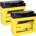Produktbild: Ersatzakku für Brandmeldezentrale Siemens FH2003-A1 2 x AGM Batterie 12V 18Ah mit VdS