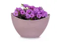 Produktbild: matches21 HOME & HOBBY Blumentopf Hohe Pflanzschale oval Vintage alt-rosa 24 x 14 cm wetterfest (1 St), Schiffchen Deko-Schale als Tischdeko Blumen-Schale Outdoor Garten-Deko