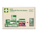 Produktbild: Orkla Wound Care AB Cederroth First Aid Station Nachfüllpaket Erste-Hilfe-Station, Praktisches Nachfüllset für Erste-Hilfe-Stationen, 1 Set = 12 Teile 51011039